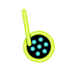 bobanetwork