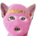skicat