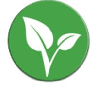 vitae